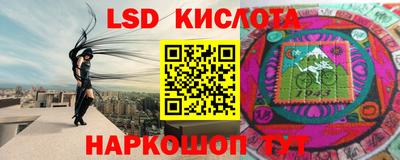 spice Кингисепп