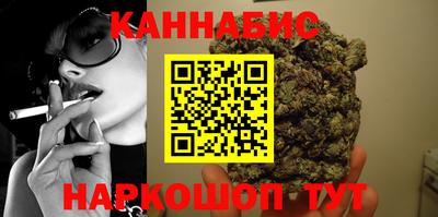 spice Кингисепп