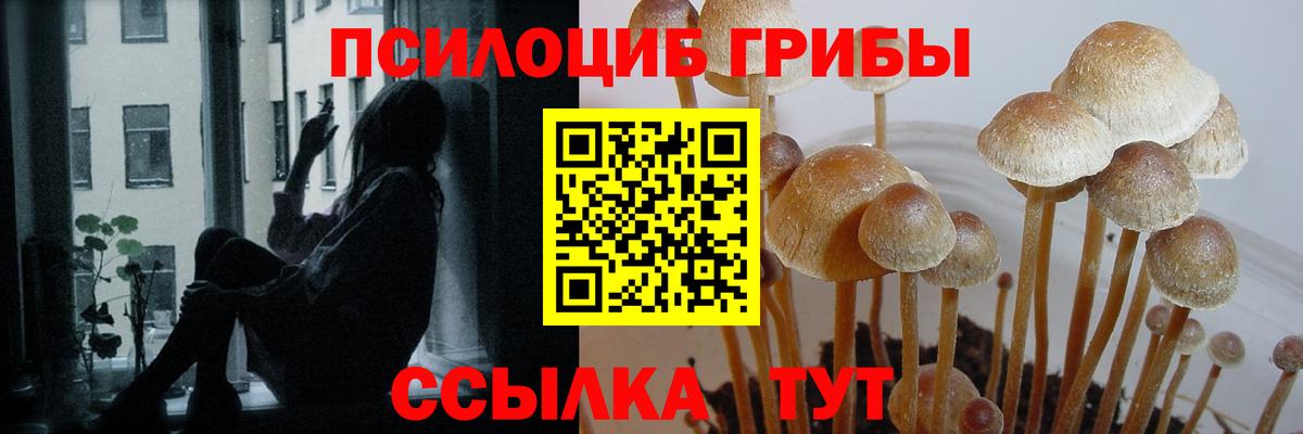 Псилоцибиновые грибы GOLDEN TEACHER Лабытнанги